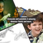 2 in 1 Fossil Excavation Kit III. Vzdelávacia hra pre deti dodáva sa s darčekovou taškou z kraftového papiera (115 g/m²) - Image 7