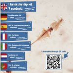 Jurassic Pets Kit II. Vzdelávacia hra pre deti dodáva sa s darčekovou taškou z kraftového papiera (115 g/m²) - Image 7